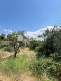 Продава  Парцел област Пловдив , гр. Сопот , 432 кв.м | 45398761 - изображение [4]