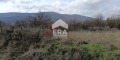 Продава  Парцел област Стара Загора , с. Ново село , 5151 кв.м | 98765982 - изображение [3]