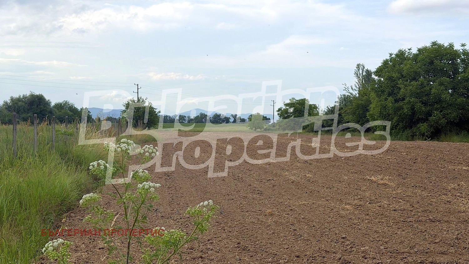 ������� ������ | Imot.bg � ����������� 8
