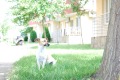 Продава 2-СТАЕН, област Бургас, к.к. Слънчев бряг • 47000 € / 91924.01 лв. • 56080496 12