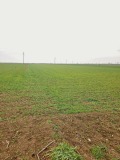 Продава ПАРЦЕЛ, област Добрич, с. Свети Никола • 179000 € • 83935533 — Holmes.bg