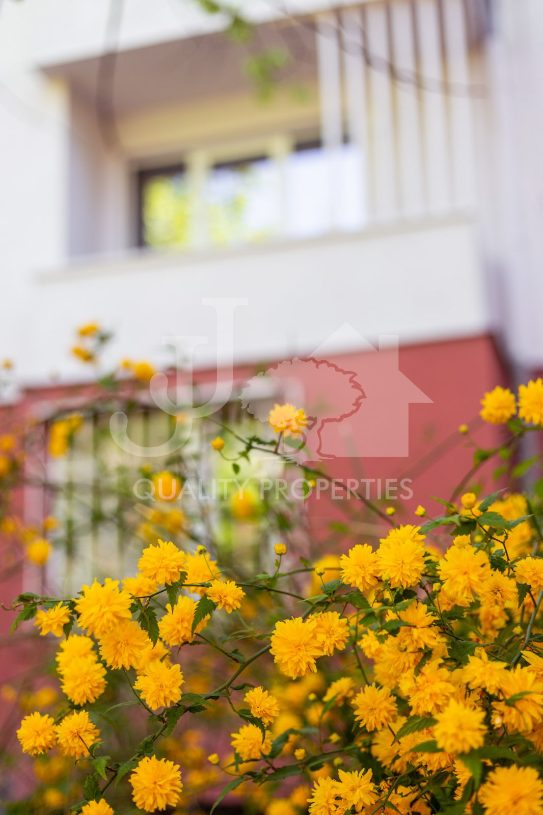 Продава 3-СТАЕН, гр. София, Лозенец, снимка 16 - Апартаменти - 54328602