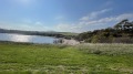Продава ПАРЦЕЛ, област Бургас, гр. Царево • 110000 € • 70733749 — Holmes.bg