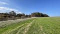 Продава ПАРЦЕЛ, област Бургас, гр. Царево • 110000 € • 70733749 — Holmes.bg