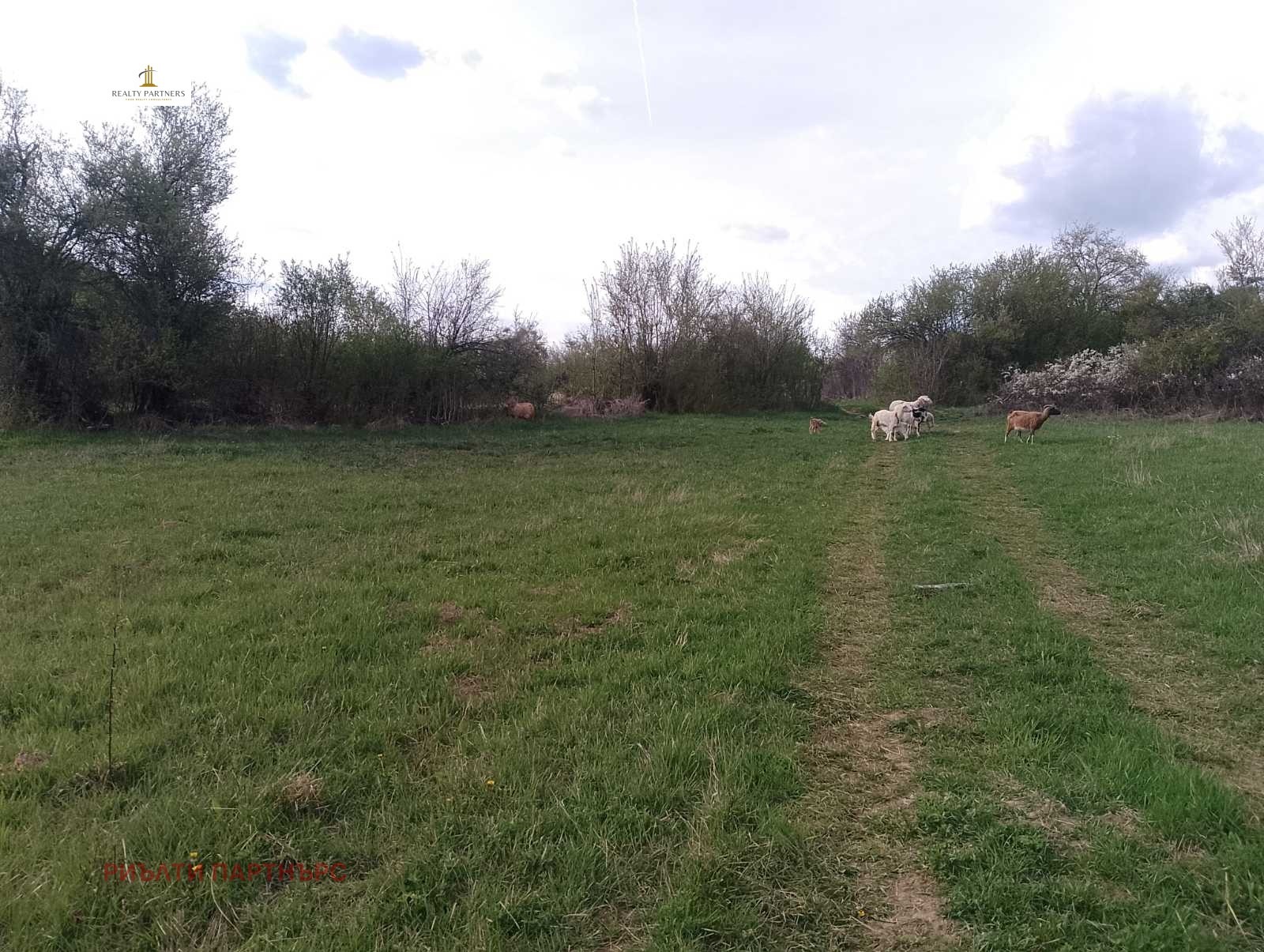 Продава ПАРЦЕЛ | Imot.bg — изображение 10