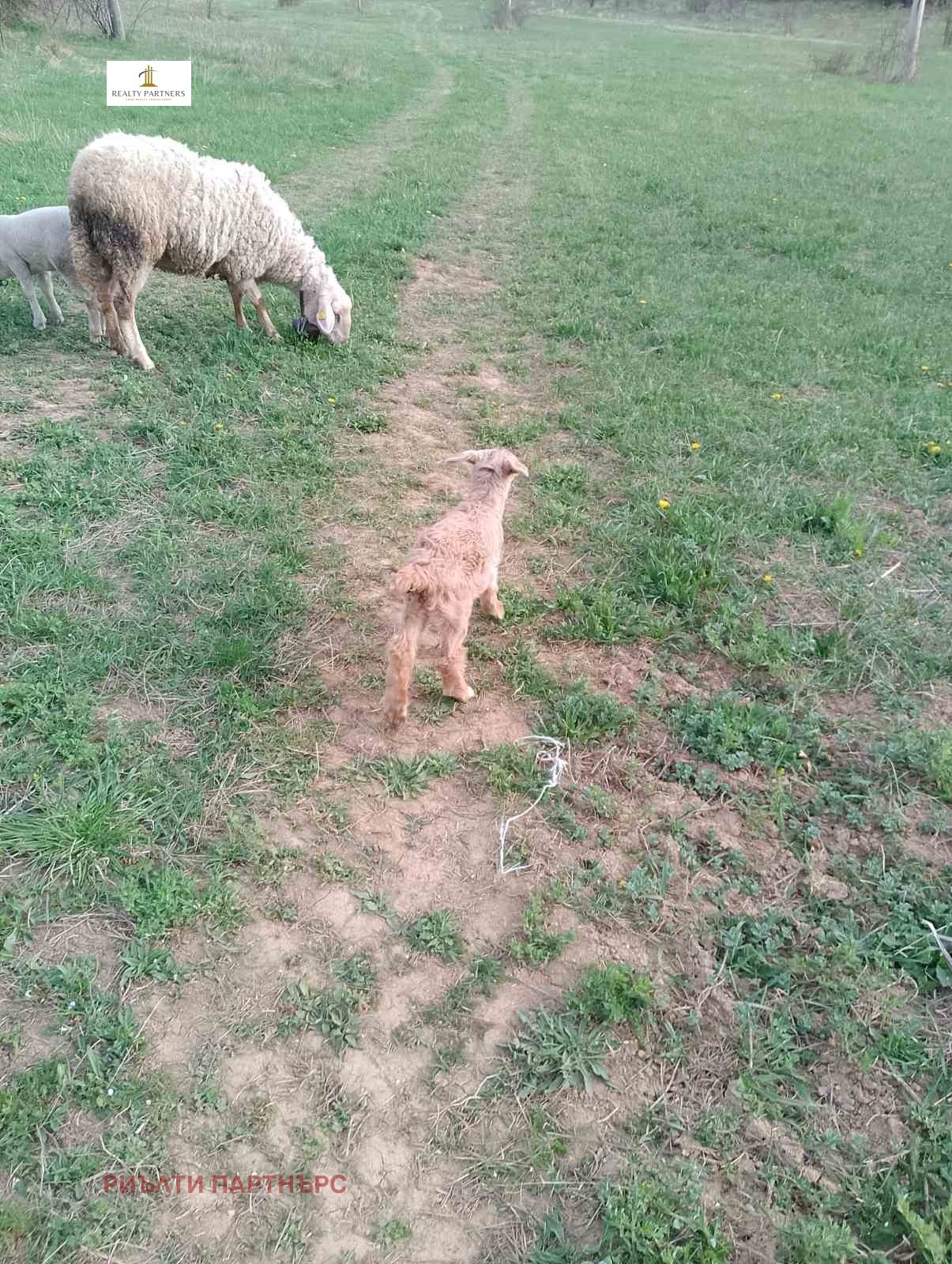 Продава ПАРЦЕЛ | Imot.bg — изображение 8