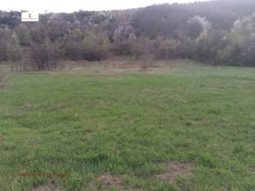 Complot Baicalsco, regiunea Pernik