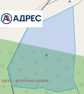 ������ ������� ���������� ����