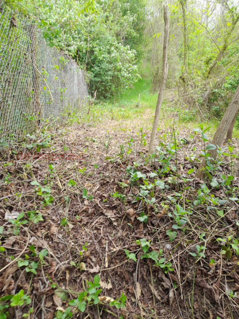 Продава ПАРЦЕЛ, гр. София, гр. Нови Искър, снимка 3 - Парцели - 52893439