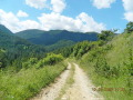 Продава ПАРЦЕЛ, с. Гела, област Смолян, снимка 8