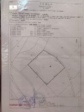 Продава ПАРЦЕЛ, област Перник, с. Байкалско • 33000 лв. / 16872.63 € • 90065965 5