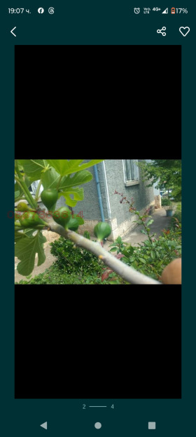 ����� ������� ����,�. �������, ������ �������