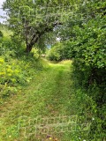 Продава  Вила област Перник , с. Пенкьовци , 130 кв.м | 42485255 - изображение [8]