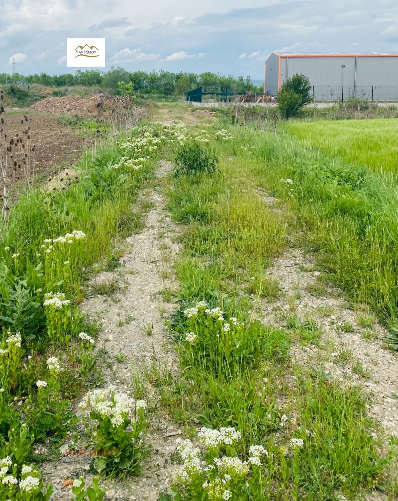 Продаја  Плот Софија , Требич , 1500 м2 | 95048750