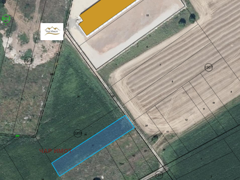 Продаја  Плот Софија , Требич , 1500 м2 | 95048750 - слика [2]
