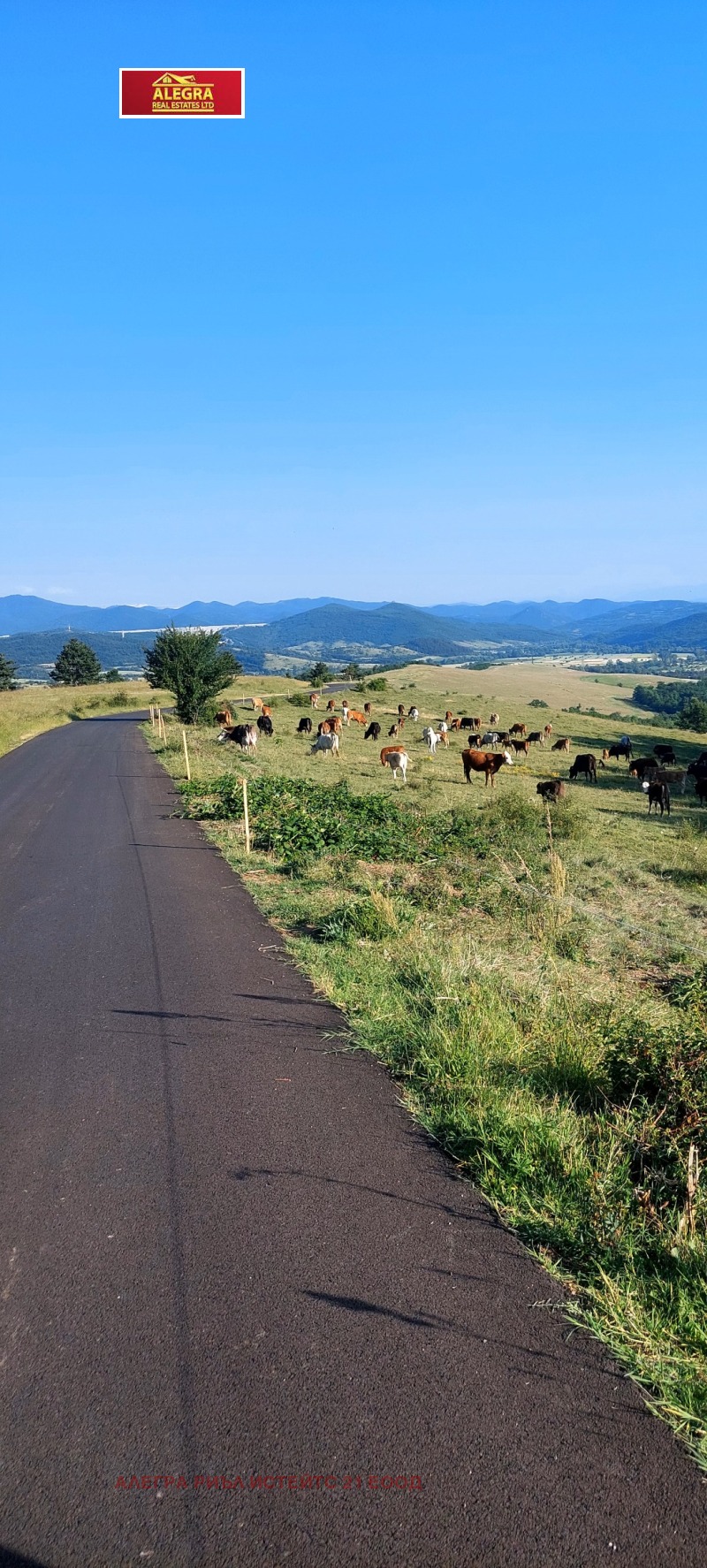 Na sprzedaż  Działka region Sofia , Mirkowo , 1000 mkw | 84730179 - obraz [9]
