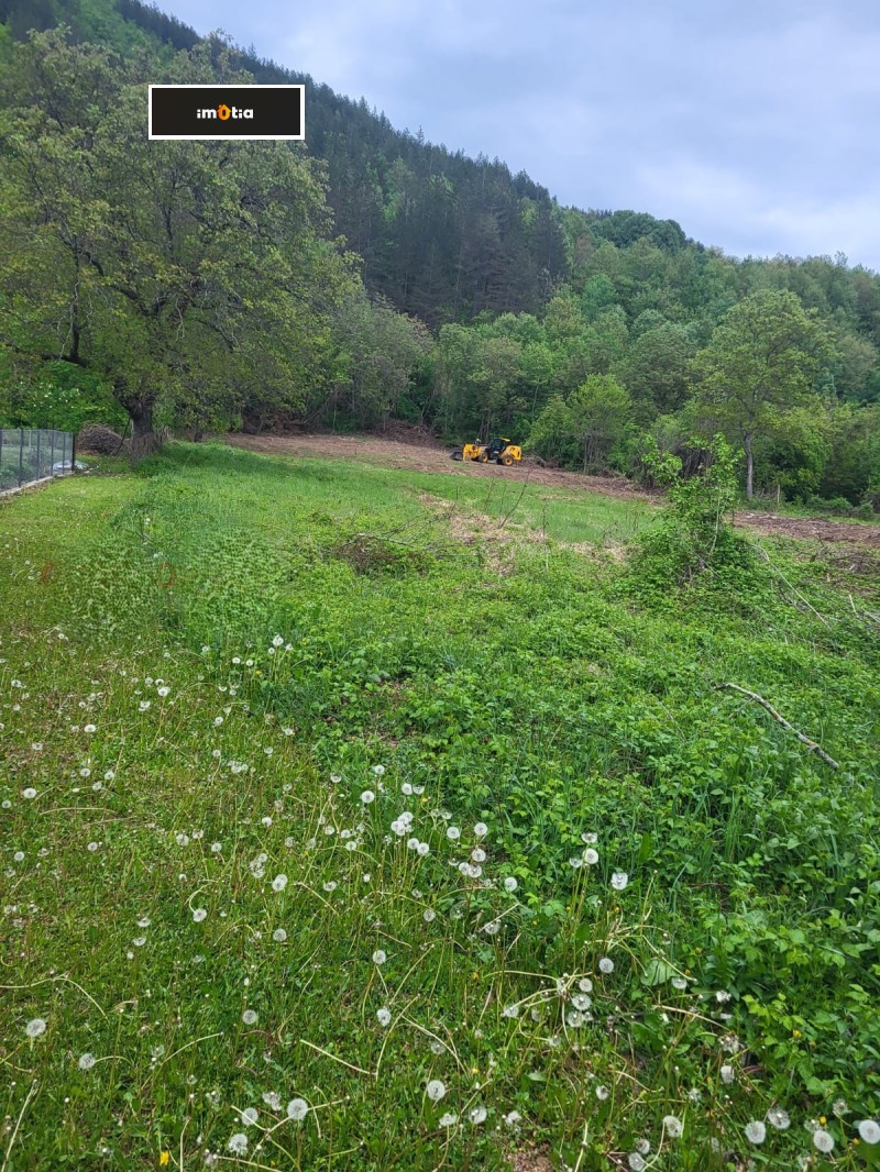 Продава ПАРЦЕЛ, с. Скандалото, област Ловеч