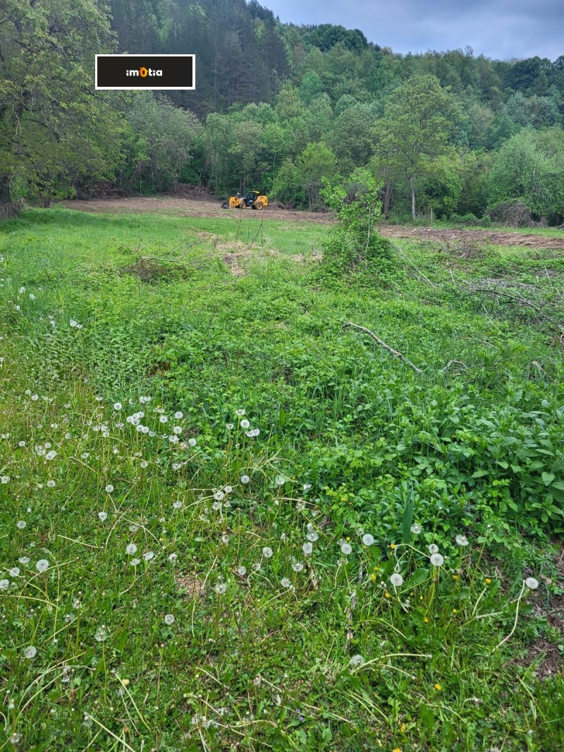 Продава ПАРЦЕЛ, с. Скандалото, област Ловеч, снимка 2 - Парцели - 53043986