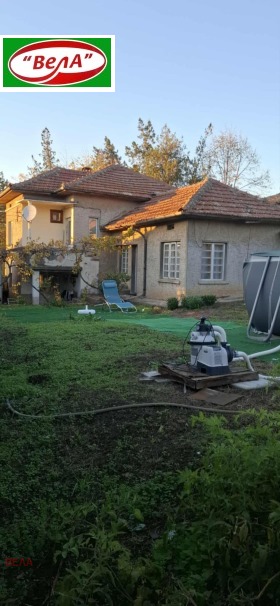 ������ ������� ����