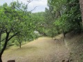 Продава ВИЛА, област София, с. Калотина • 35000 € • 34180003 — Holmes.bg