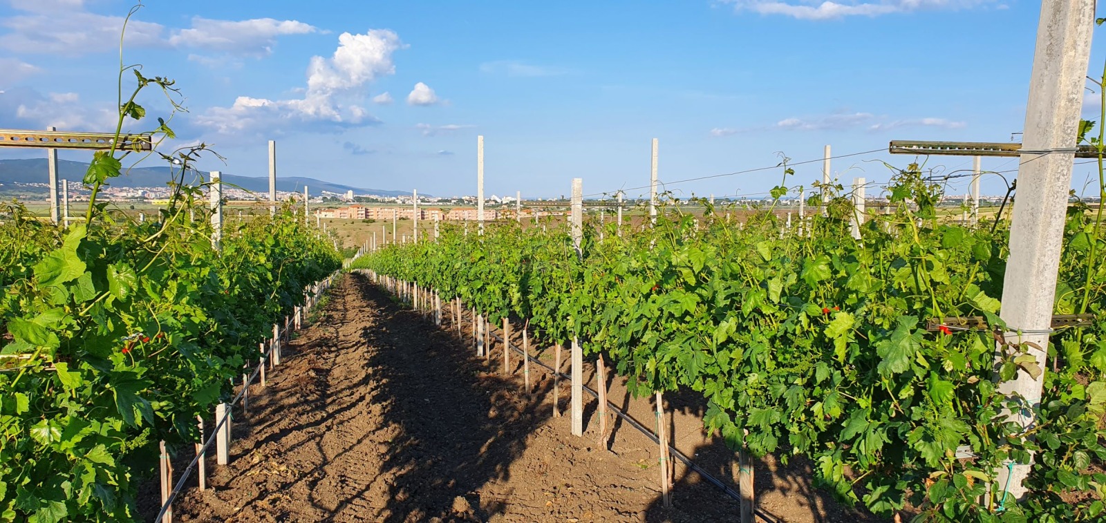 ������� ���� | Imot.bg � ����������� 6