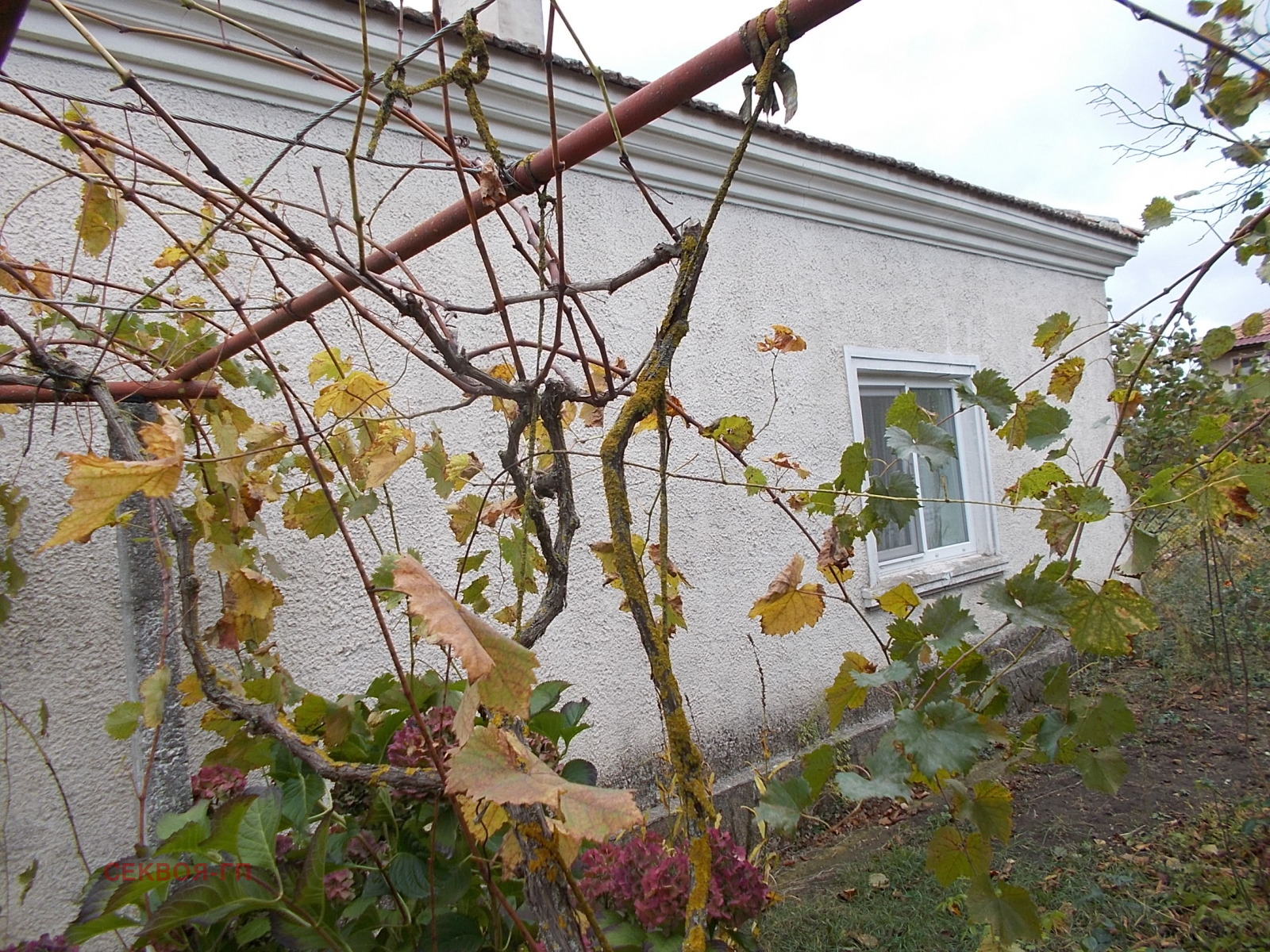 ������� ���� | Imot.bg � ����������� 16