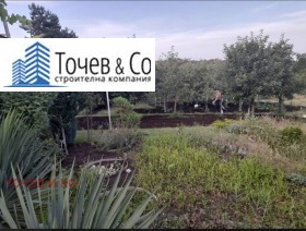 ����� ������� ������,���� ������, ������