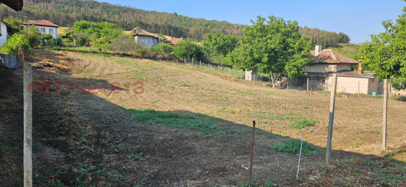 Продава ПАРЦЕЛ, с. Крета, област Плевен, снимка 2 - Парцели - 53174098