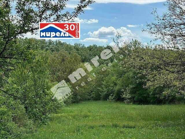 For Sale  Plot region Gabrovo , Balvantsite , 5000 sq.m | 17115963 - image [3]