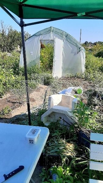 Προς πώληση  Οικόπεδο περιοχή Βάρνα , Γαβαρνητσα , 2000 τ.μ | 59329345 - εικόνα [4]