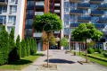 Продава МНОГОСТАЕН, град Пловдив, Кършияка • по договаряне • 87639348 — Holmes.bg
