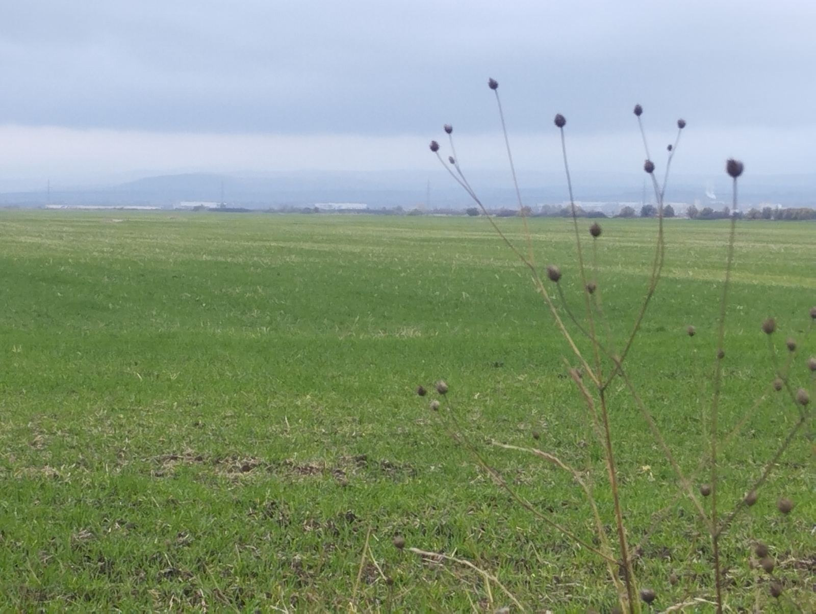 ������� ������ | Imot.bg � ����������� 2