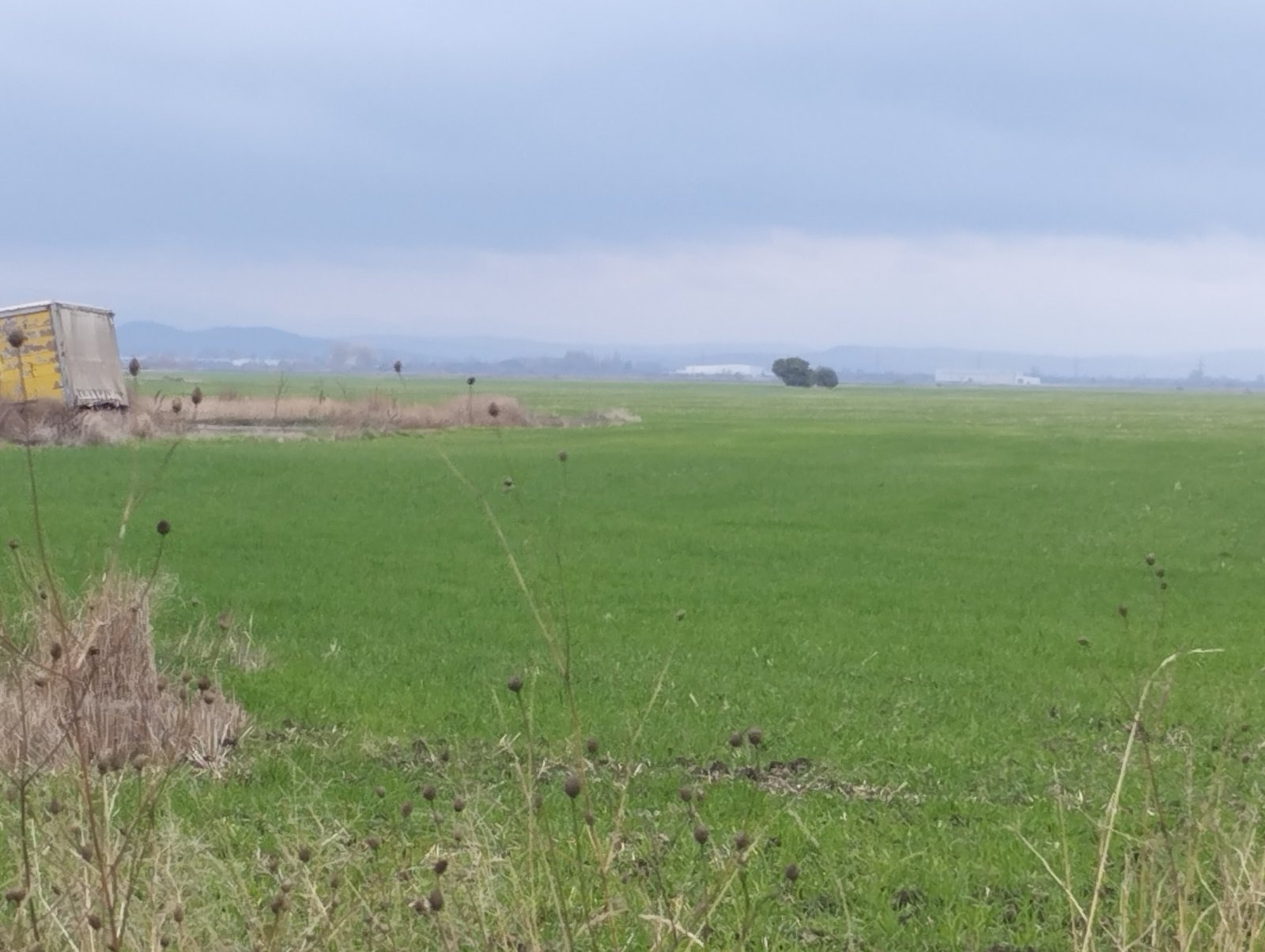 ������� ������ | Imot.bg � ����������� 3