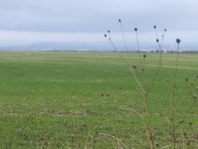 ������� ������ | Imot.bg � ����� ������ 2