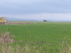 ������� ������ | Imot.bg � ����� ������ 3