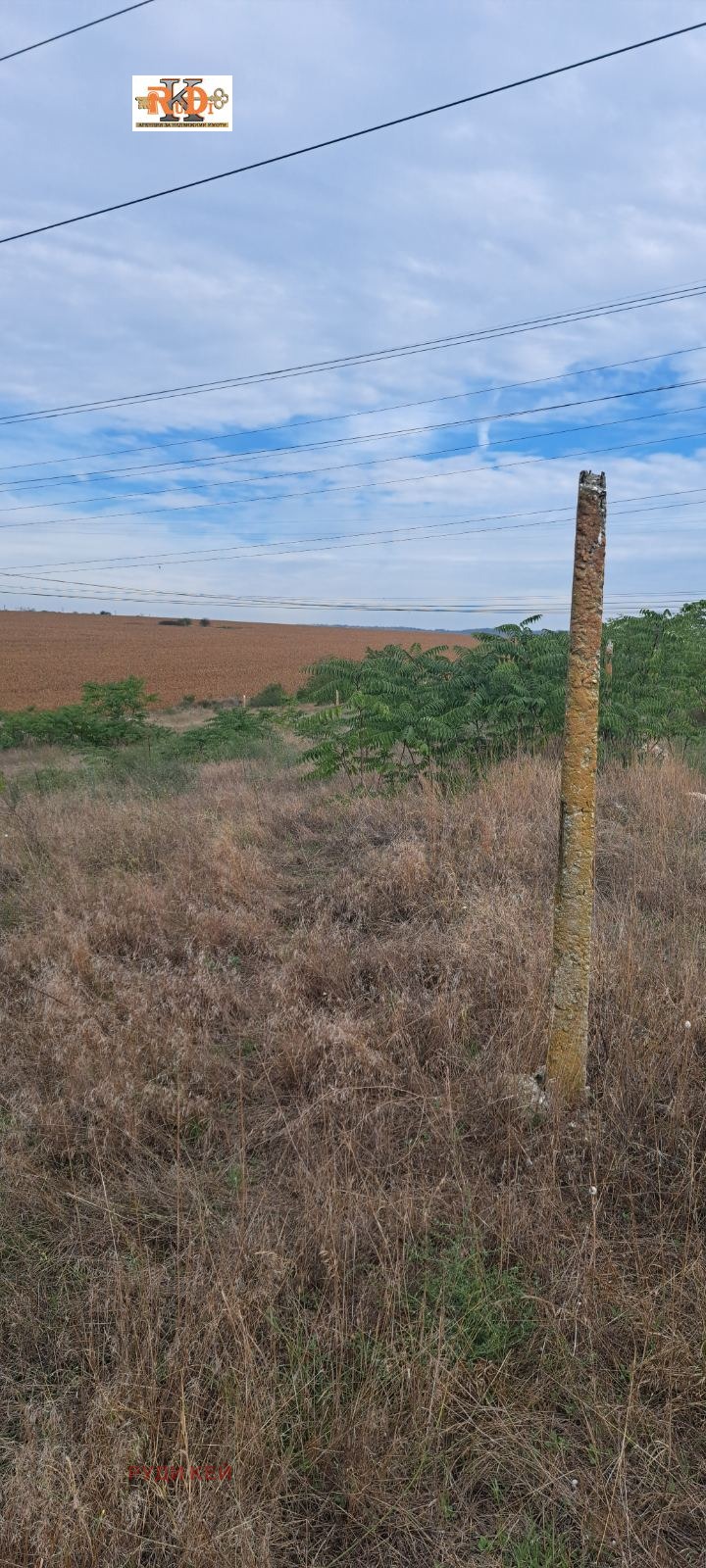 À venda  Trama região Varna , Strachimirovo , 2000 m² | 62509443 - imagem [8]