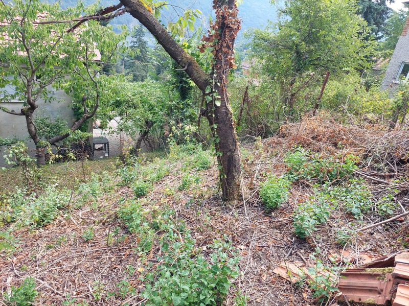 Продава  Парцел, град София, с. Панчарево •  199 000 EUR • ID 78444153 — holmes.bg - [1] 