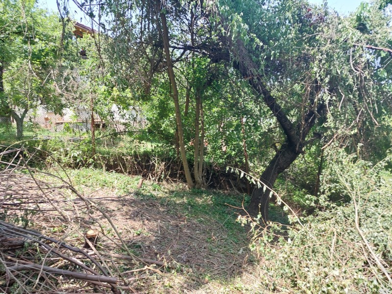 Till salu  Komplott Sofia , Pantjarevo , 682 kvm | 53854961 - bild [2]