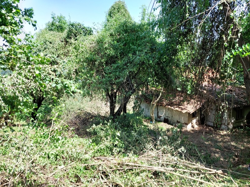 Till salu  Komplott Sofia , Pantjarevo , 682 kvm | 53854961 - bild [3]