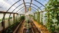 Продава КЪЩА, с. Бистра, област Търговище, снимка 15