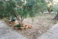 Продава КЪЩА, Гърция, Кавала • 110000 € • 46855778 — Holmes.bg