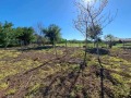 Продава КЪЩА, област Велико Търново, с. Поликраище • 41000 € • 38827289 — Holmes.bg