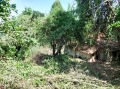 Продава ПАРЦЕЛ, град София, с. Панчарево • 159000 € • 78444153 — Holmes.bg