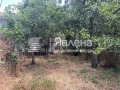 Продава КЪЩА, област Кюстендил, с. Шишковци • 50000 € • 53622647 — Holmes.bg