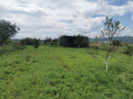 Продава ПАРЦЕЛ, град София, гр. Нови Искър • 65000 € • 96108867 — Holmes.bg
