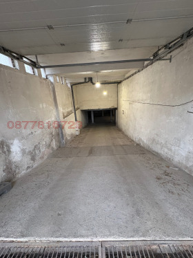 ����� ������� ����������,���� �����, ���������