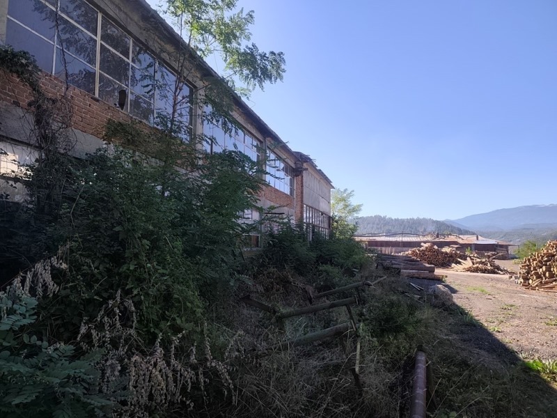 For Sale  Industrial building region Blagoevgrad , Eleshnitsa , 9778 sq.m | 61406864 - image [9]