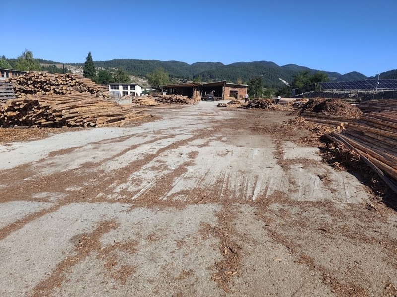 For Sale  Industrial building region Blagoevgrad , Eleshnitsa , 9778 sq.m | 61406864 - image [4]