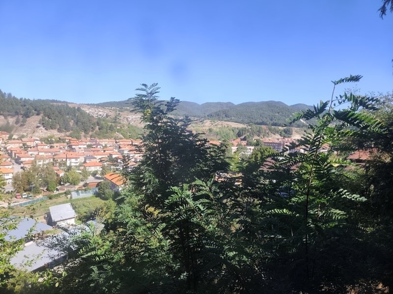 For Sale  Industrial building region Blagoevgrad , Eleshnitsa , 9778 sq.m | 61406864 - image [6]