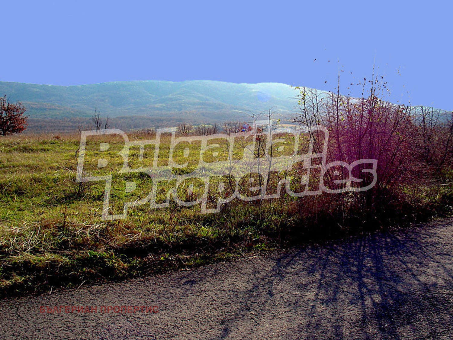 Продава ПАРЦЕЛ, с. Велика, област Бургас, снимка 2 - Парцели - 26386803